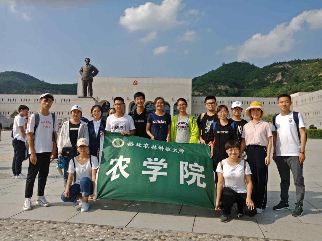 26了还没谈过恋爱正常吗?- 专业问答平台,快速解答您的疑问